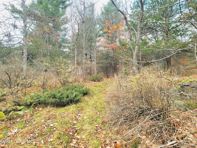 42780 Murray Is, Clayton, NY 13624 - photo 16