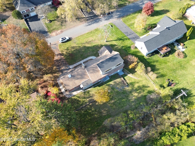 1258 Hawthorn Rd, Niskayuna, NY 12309 - aerial view of property and surrounding area