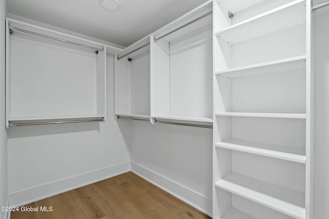 spacious closet featuring wood finished floors