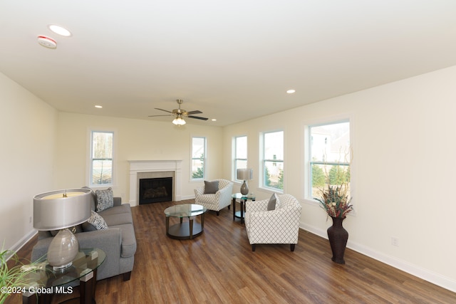 living room featuring ceiling fan and dark hardwood / wood-style flooring