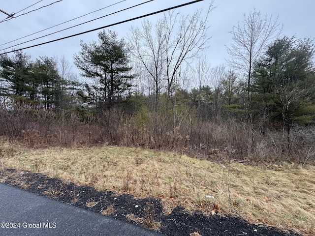 Listing photo 3 for L5.1 Nys Route 22, Ticonderoga NY 12883