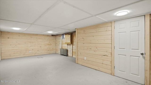 basement with wooden walls