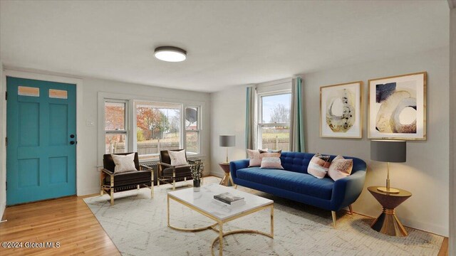 living room with hardwood / wood-style flooring