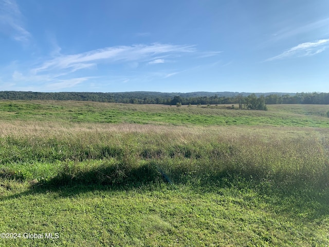 LOT1 Western Tpke, Duanesburg NY, 12066 land for sale