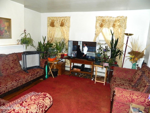 living room with carpet