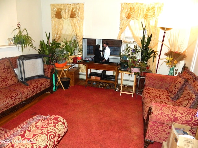 interior space with carpet floors