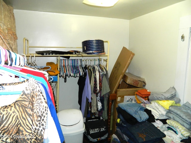 view of walk in closet