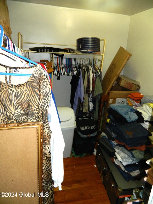 spacious closet featuring dark hardwood / wood-style flooring