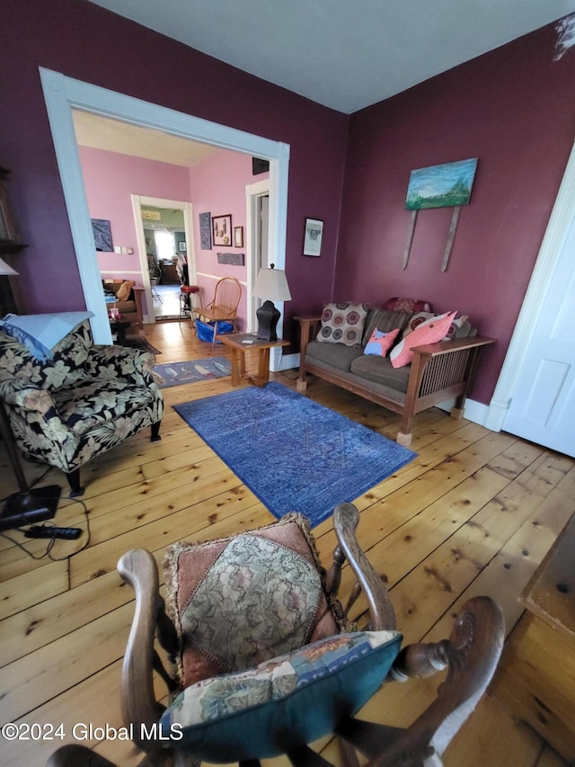 living room featuring wood-type flooring