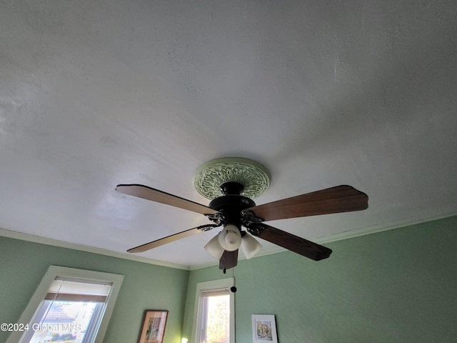 room details featuring ceiling fan and ornamental molding