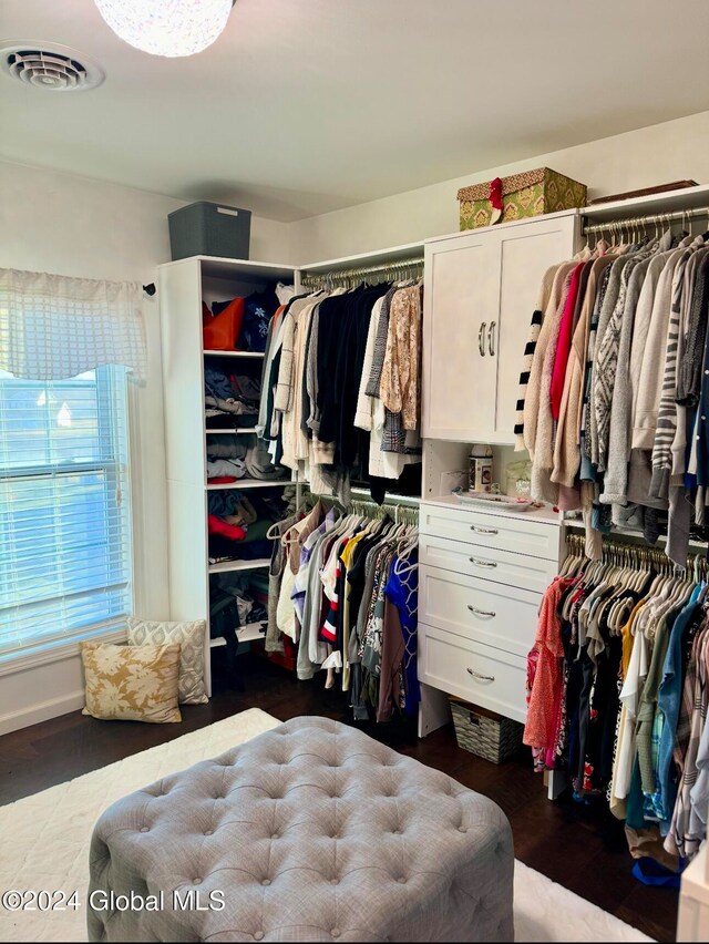 spacious closet featuring dark wood-type flooring