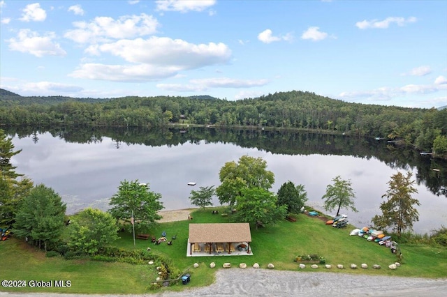 property view of water