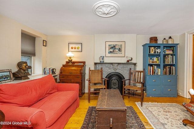 living room with light wood-type flooring