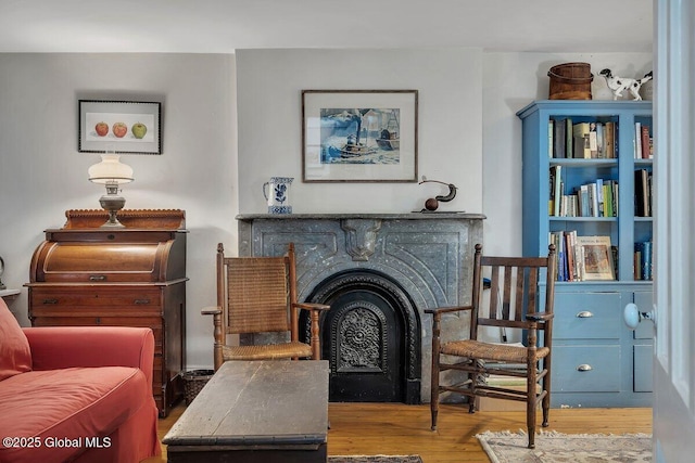 49A Dove St, Albany, NY 12210 - living room featuring wood finished floors and a fireplace