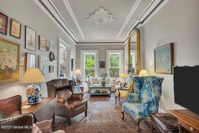49A Dove St, Albany, NY 12210 - living area with ornamental molding