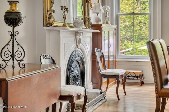 49A Dove St, Albany, NY 12210 - sitting room featuring light wood-style floors