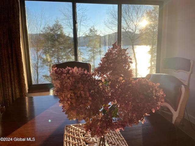 dining room with a wealth of natural light