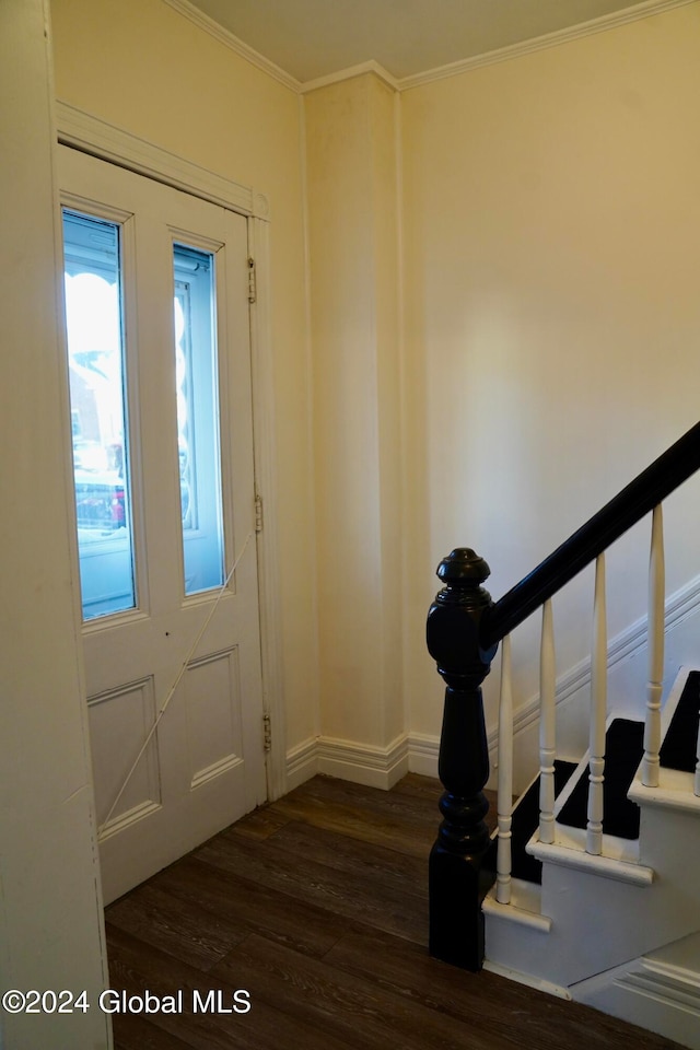 entryway with dark hardwood / wood-style flooring and crown molding