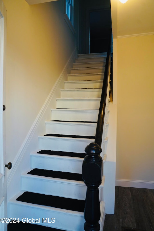 staircase featuring hardwood / wood-style flooring