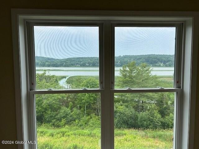 doorway to outside featuring a healthy amount of sunlight and a water view