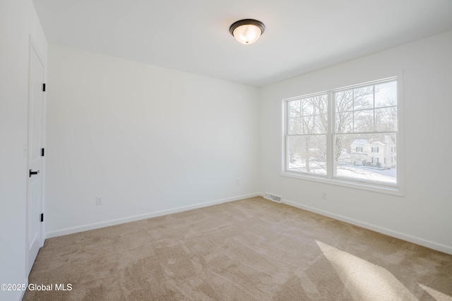 empty room featuring a wealth of natural light and light colored carpet