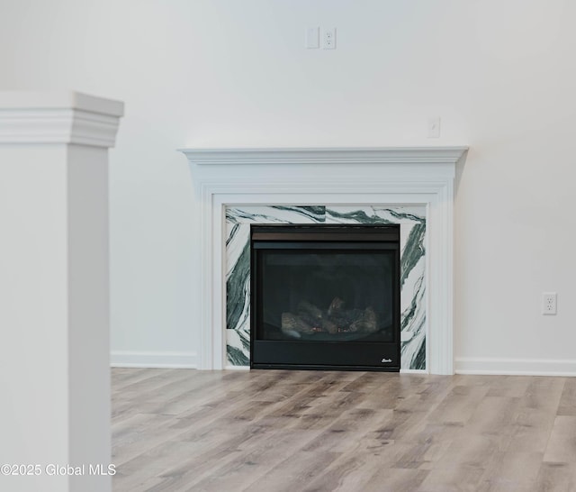 room details with hardwood / wood-style flooring and a fireplace