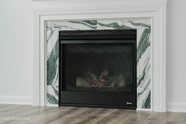 details featuring wood-type flooring and a fireplace