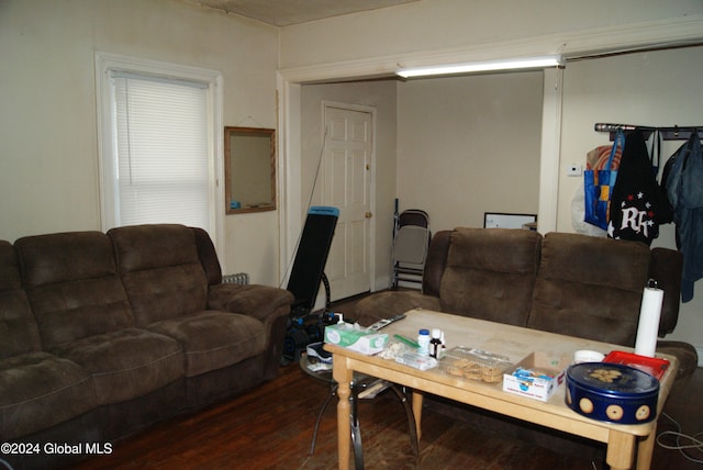 living room featuring dark wood-type flooring