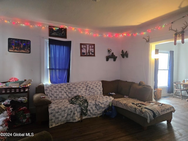 living room featuring hardwood / wood-style floors