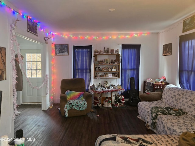 living room with wood-type flooring