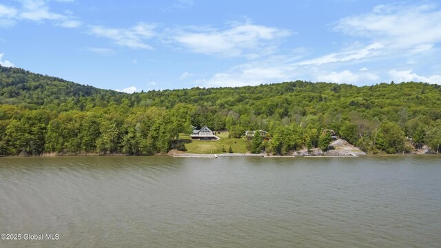 113 Captains Cv, Crown Point, NY 12928 - photo 64