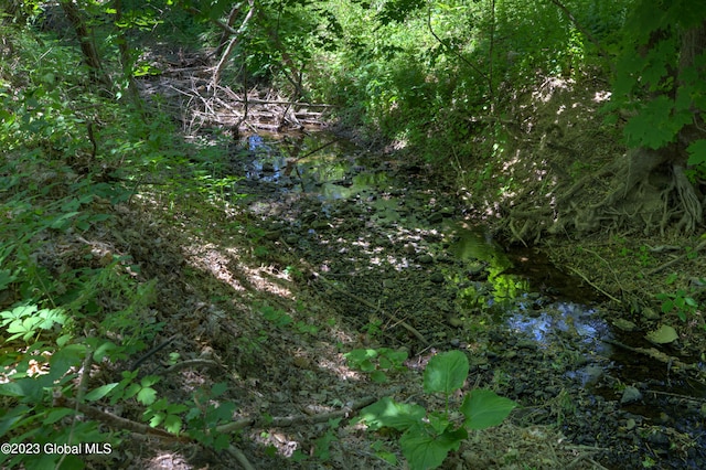 view of local wilderness featuring a water view