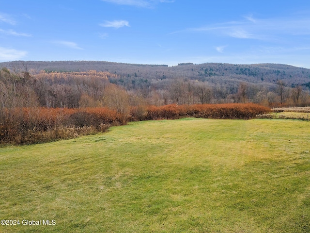 16 Main St, Worcester, NY 12064 - view of green lawn with a forest view and a view of countryside