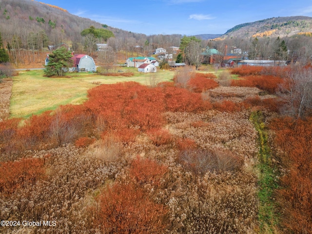 16 Main St, Worcester, NY 12064 - view of mountain backdrop featuring rural landscape