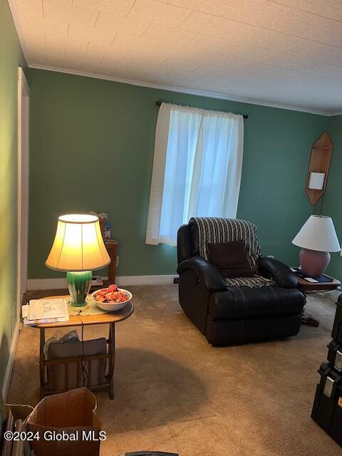 carpeted living room featuring ornamental molding