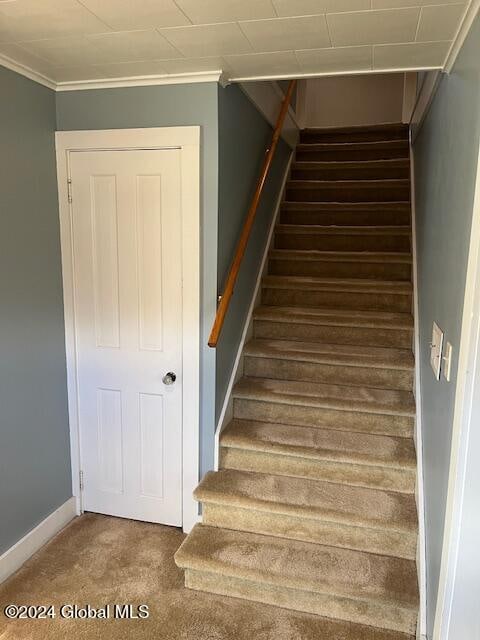 staircase featuring carpet flooring and crown molding