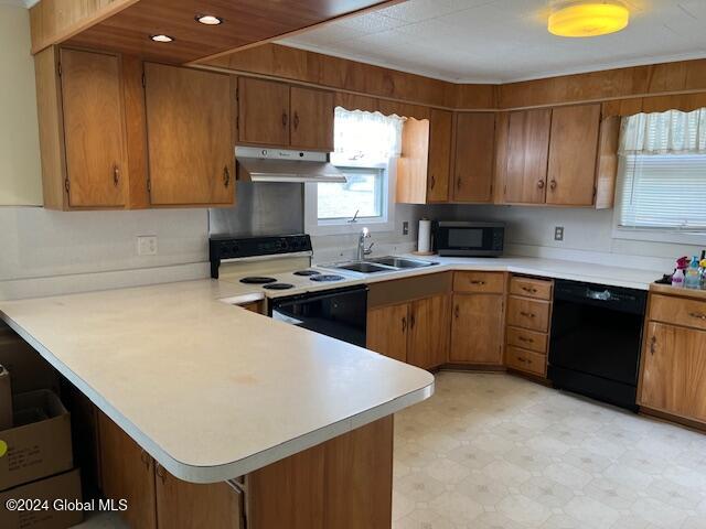 kitchen with kitchen peninsula, black dishwasher, electric range, and sink