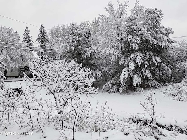 view of snowy landscape