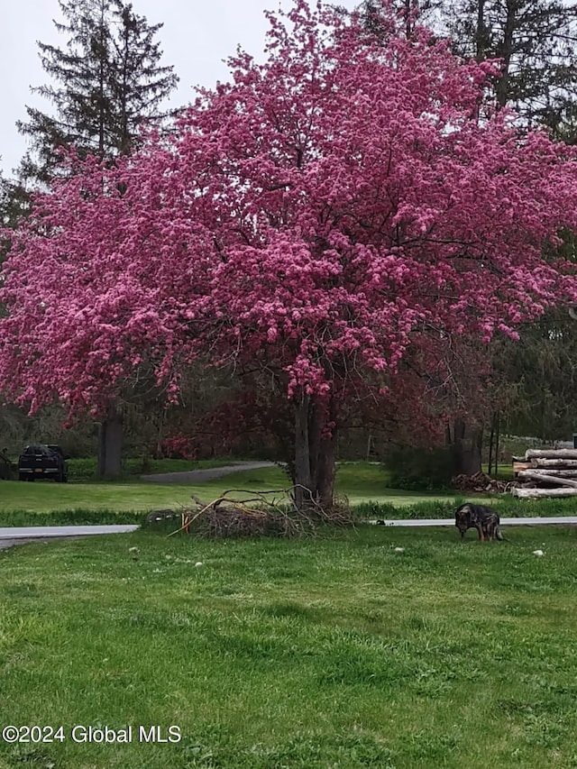 view of community featuring a lawn