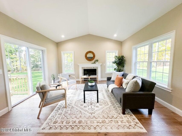 living room with lofted ceiling and wood-type flooring