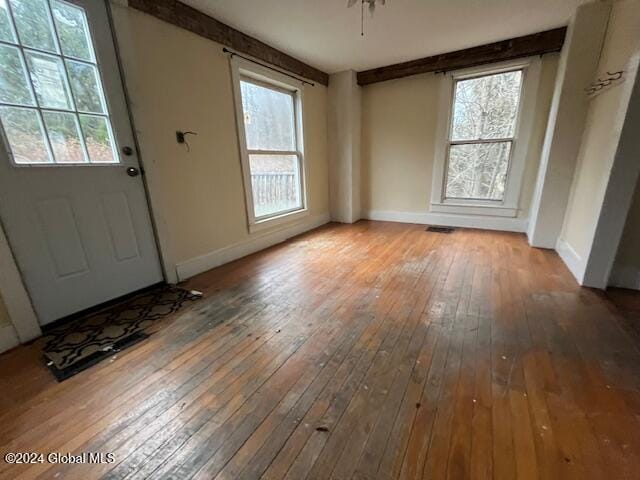 doorway featuring hardwood / wood-style floors, a wealth of natural light, and ceiling fan