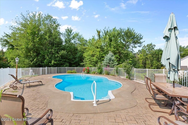 view of swimming pool featuring a patio