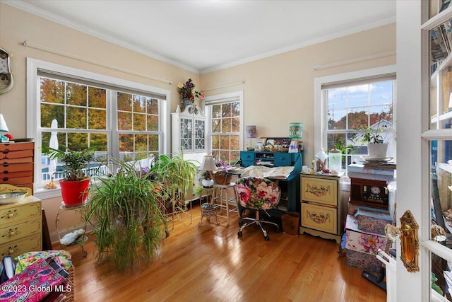 office space with light hardwood / wood-style floors and crown molding