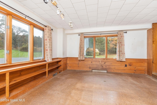 interior space featuring wooden walls and carpet