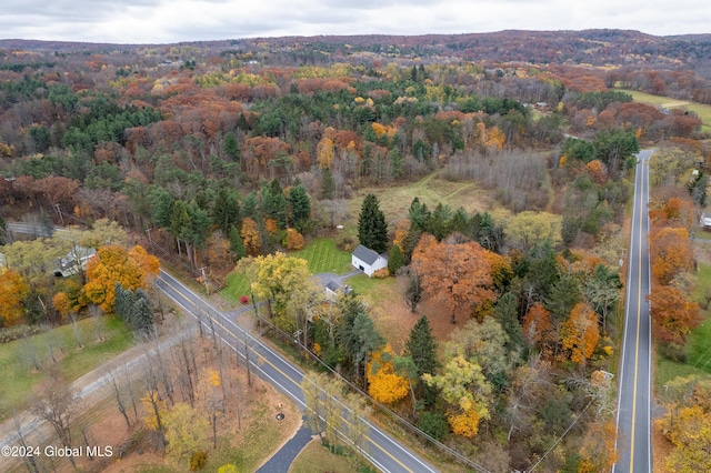 bird's eye view