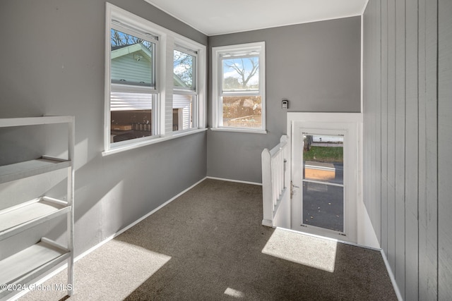 entryway featuring carpet flooring