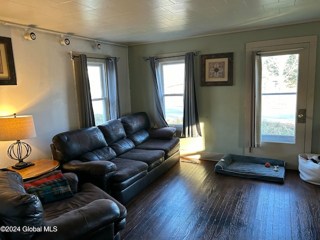 living room featuring dark hardwood / wood-style flooring