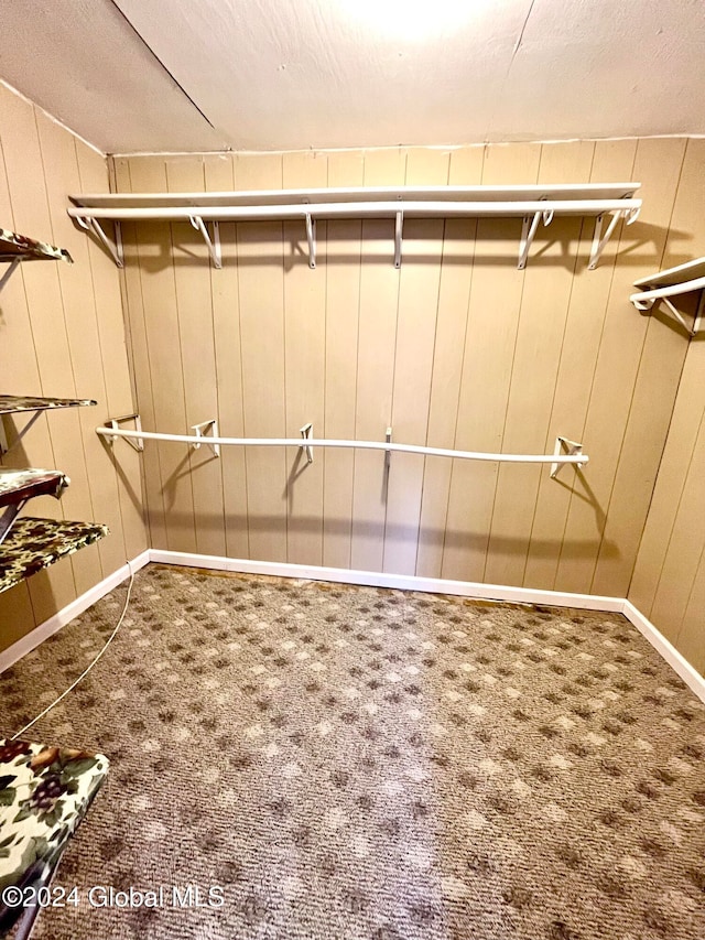 walk in closet with carpet flooring