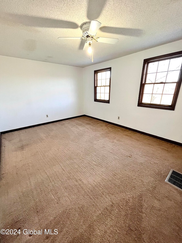 empty room with carpet flooring, a healthy amount of sunlight, and a textured ceiling