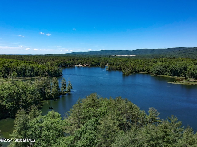 property view of water featuring a mountain view